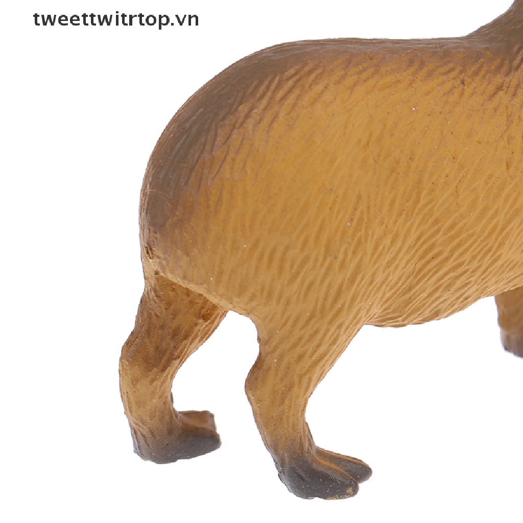 Mô Hình Đồ Chơi Sưu Tầm Capybara Hoang Dã Dễ Thương