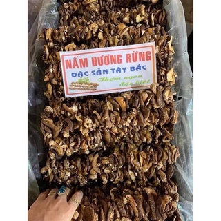 0,5 kg nấm hương rừng Tây Bắc khô tự nhiên