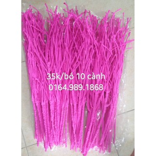 CÀNH TUYẾT MÀU SIÊU RẺ