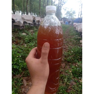 mật cà phê chai 1l