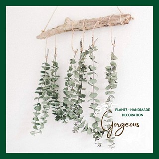 Mành treo khuynh diệp hoa khô trang trí🌿Eucalyptus🌿Lá bạc🌿Lá táo🌿Sliver dollar decor phong cách Bắc Âu 20~50cm