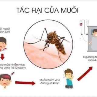 Kem xua muỗi