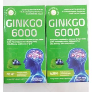 GINKGO 6000 - GIÚP TĂNG CƯỜNG LƯU THÔNG MÁU LÊN NÃO