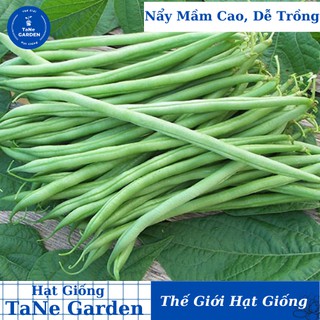 20gr hạt giống đậu cove leo hạt đen - tane garden