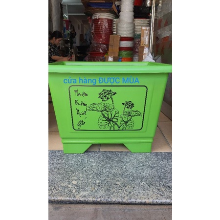 chậu nhựa chữ nhật size đại 63cm.