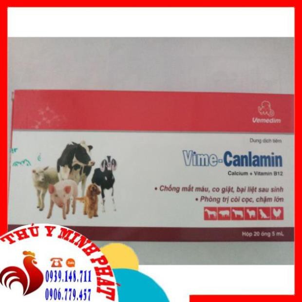 Vime Canlamin 2 ống*5ml tiêm c.h.ố.n.g  m.ấ.t m.á.u, c.o  giật, b.a.ị  l.i.ệ.t sau s.i.n.h