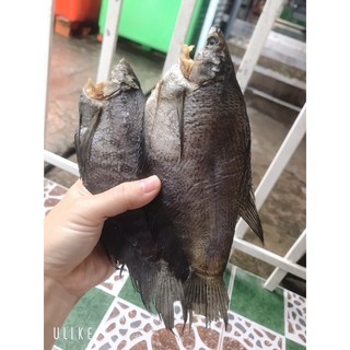 0,5kg Khô sặc bổi vị MẶN (size to 10 - 11 con 1kg)