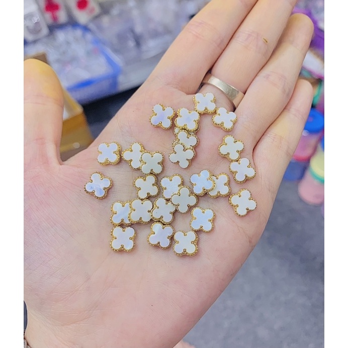 Cham hình đính móng