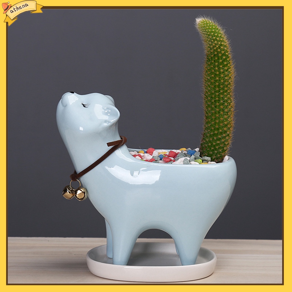 Chậu trồng cây trang trí hình mèo con dễ thương