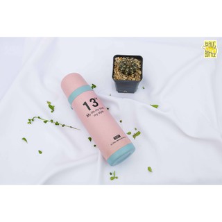 Bình nước lúa mạch 520 bảo vệ môi trường 500ml