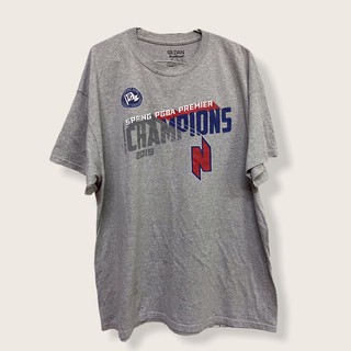 Áo phông mỹ 2hand - Áo phông unisex ghi champion size XL