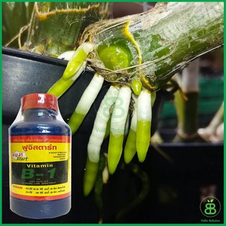 Bán (rẻ) Vitamin B1 Thái lan (100ml) hàng nhập khẩu.