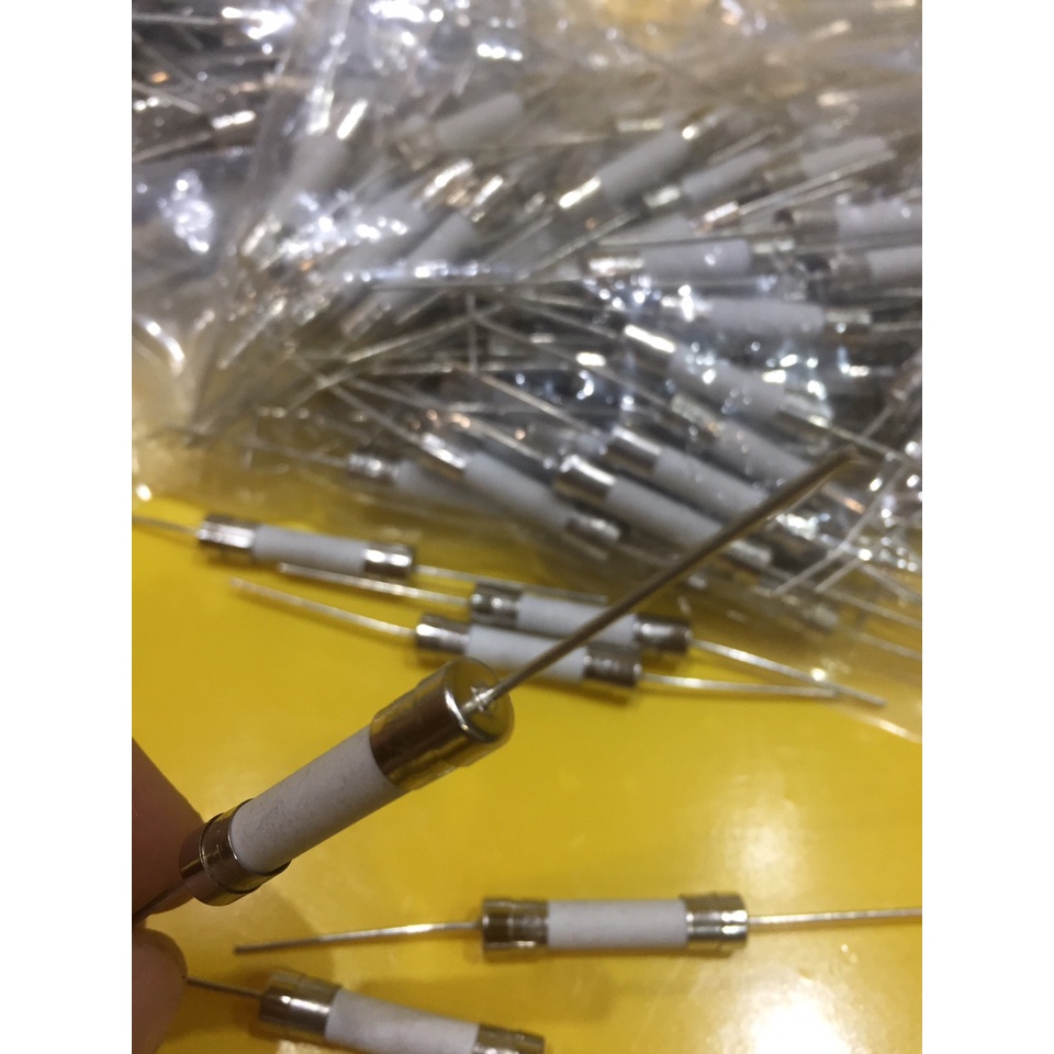 Cầu chì sứ chân cắm 20A