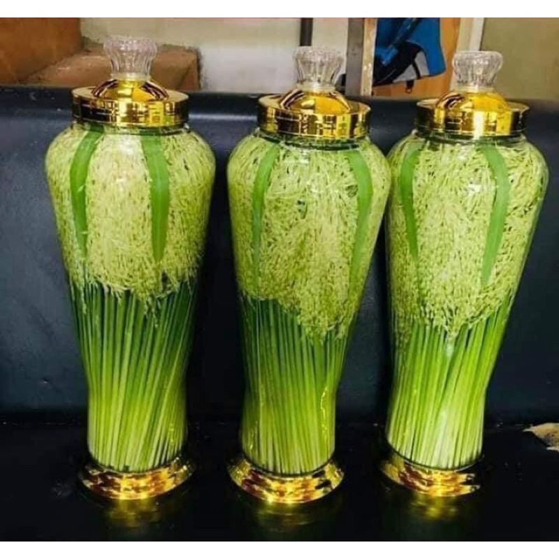 Đòng đòng nếp nương thơm ngon ngọt r