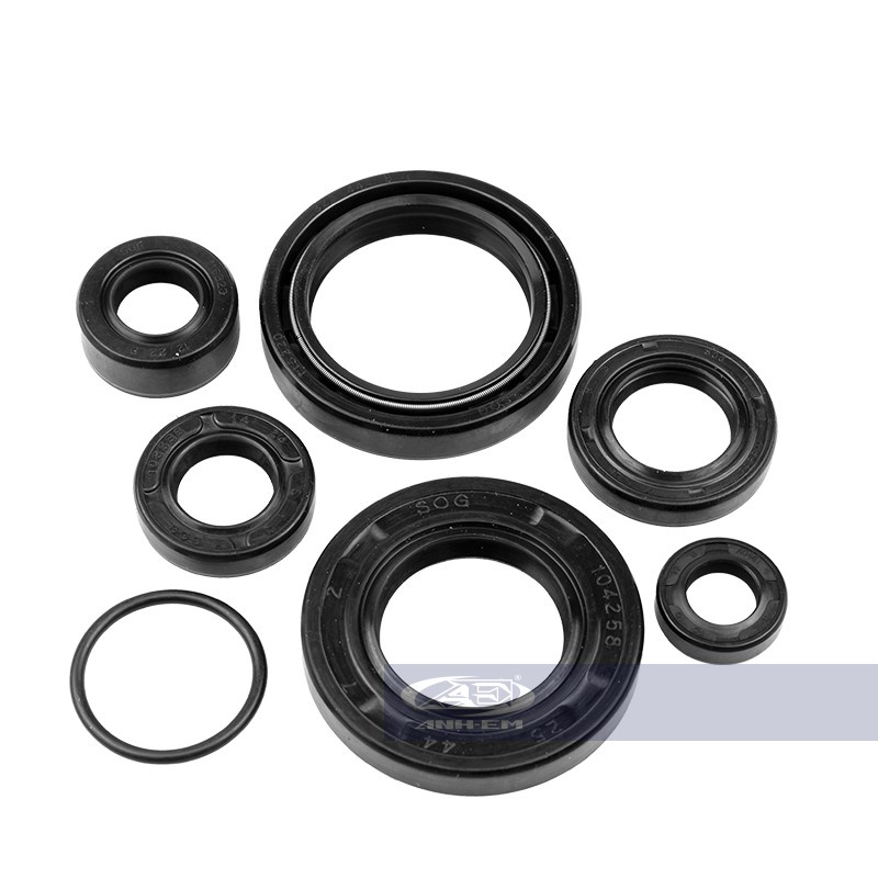 Phốt máy RGV (CYT) RGV120-0874