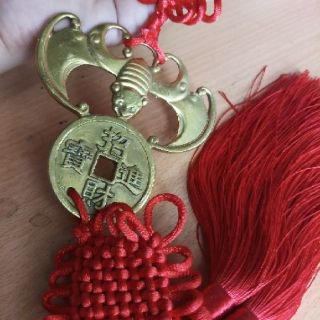 Dơi ngậm tiền phúc tinh dài 10cm.