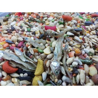 thức ăn hamster hải sản gói 100g