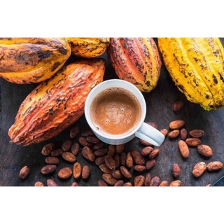 Cacao Đăk Lăk nguyên chất loại 1kg