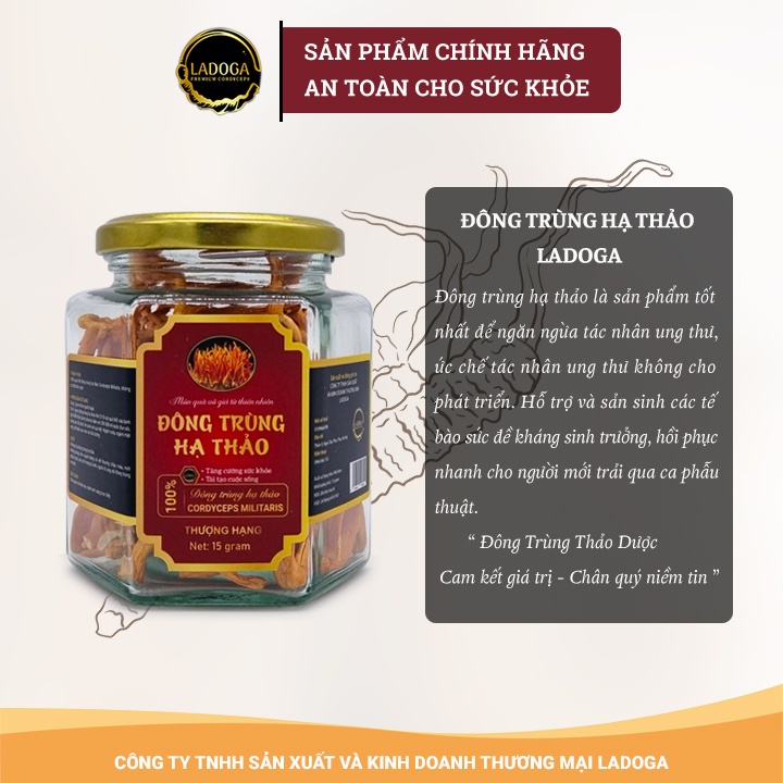 Nấm Đông Trùng Hạ Thảo Khô LADOGA Sấy Thăng Hoa Thượng Hạng Đóng Hộp Lịch Sự 10 Gam và 15 Gam