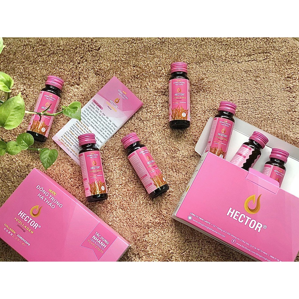 [Mã 66FMCGSALE hoàn 8% xu đơn 500K] ✅Nước Đông Trùng Hạ Thảo Hector Collagen Hộp 10 Chai Hector Cordyceps Collagen | BigBuy360 - bigbuy360.vn