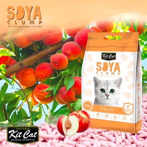 COMBO Cát Đậu Nành Cature Natural Tofu CÁT VỆ SINH CHO MÈO