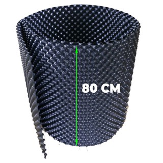 Bầu Ươm Cây Ropot Cao 80cm x 5m x dày 0,7mm