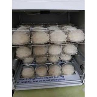 [Giá rẻ nhất] Máy Sấy Tổ Yến 50 Tổ (Tặng Khuôn Đắp Tổ)