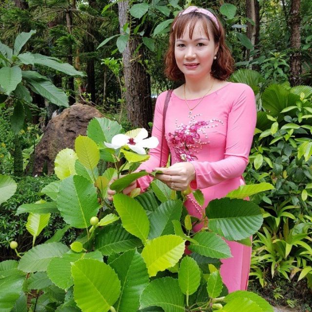 Nội Thất Bảo Ngọc