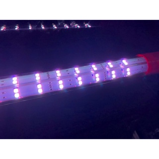 Đèn-Led-T10-5D4Row-SuperTanning