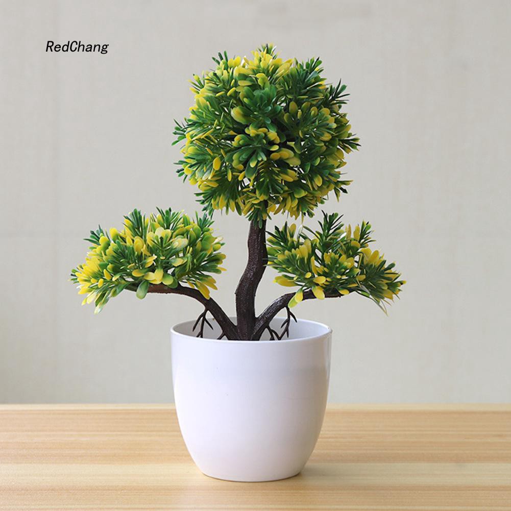 Chậu Cây Bonsai Giả Trang Trí Bàn Làm Việc