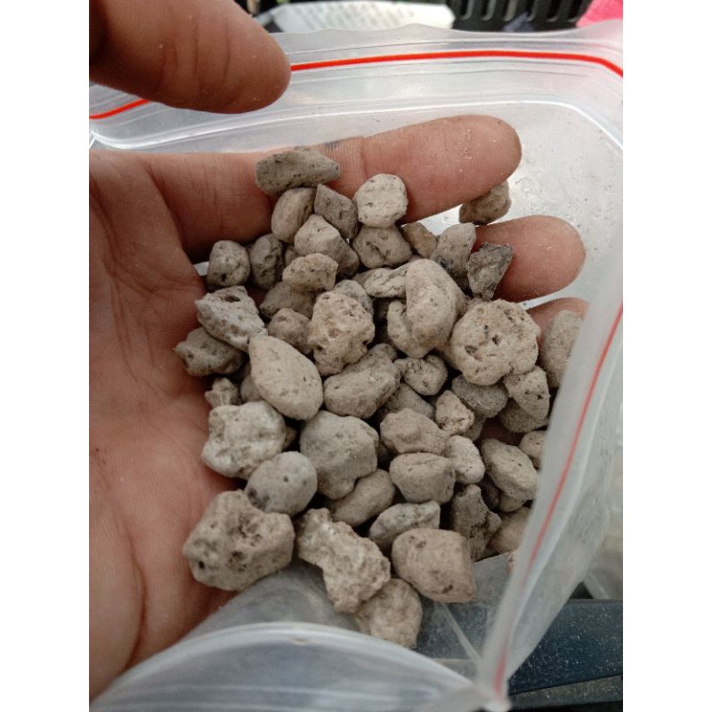 [ TRANG TRÍ ] 1Kg HẠT PUMICE RẢI BỀ MẶT ĐẤT TRỒNG SEN ĐÁ XƯƠNG RỒNG THOÁT NƯỚC TỐT, KHÔNG GÂY ÚNG LÁ TẦNG DƯỚI CHO SEN