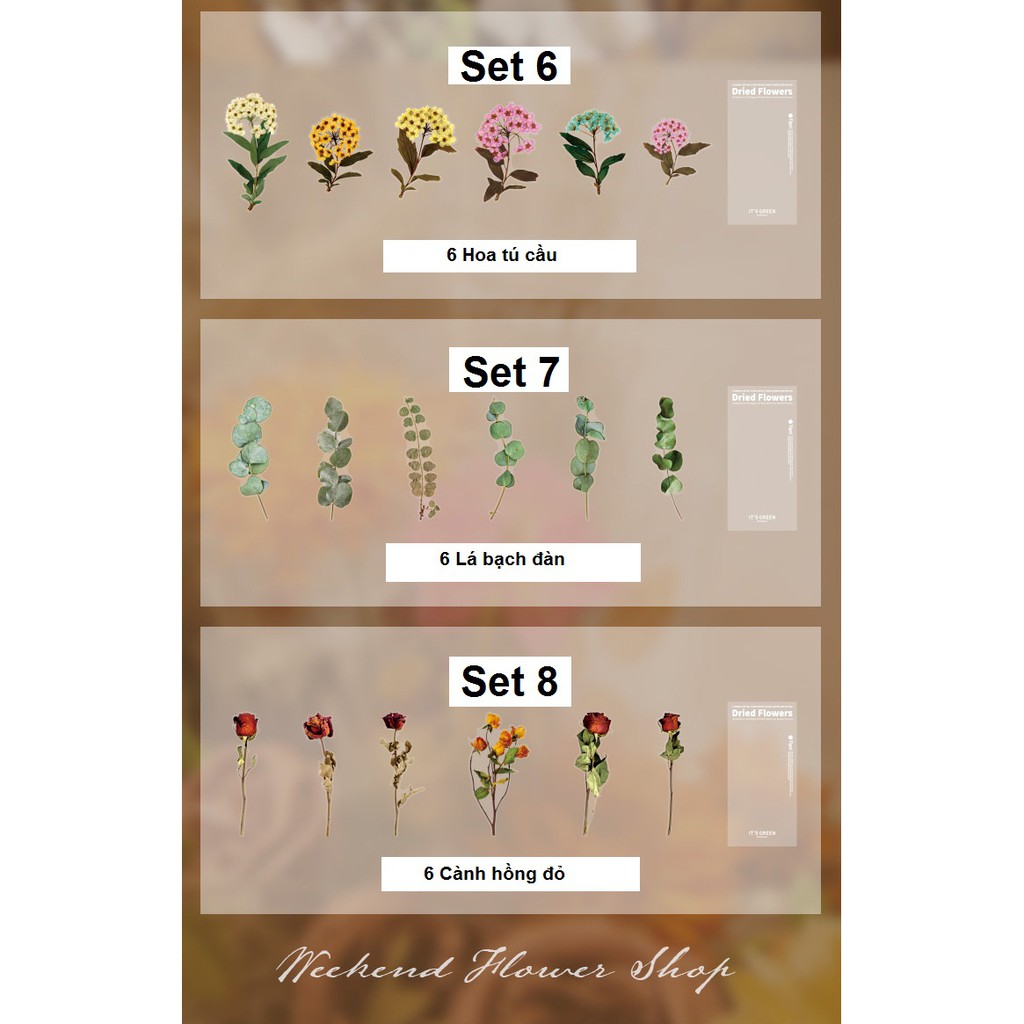 Set Sticker Hoa Lá Khô Dried Flowers ép nhựa PVC Hình Dán Hoa trang trí sổ bullet journal, planner, scrapbook