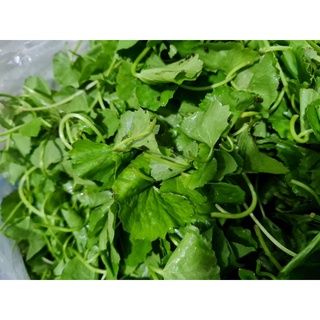 Rau má vườn miền tây - 200g