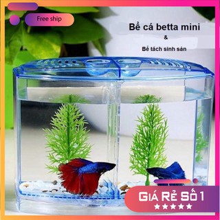 Bể nhựa nuôi cá Betta mini 2 in 1, hồ cá để bàn size 20x14x10 cm