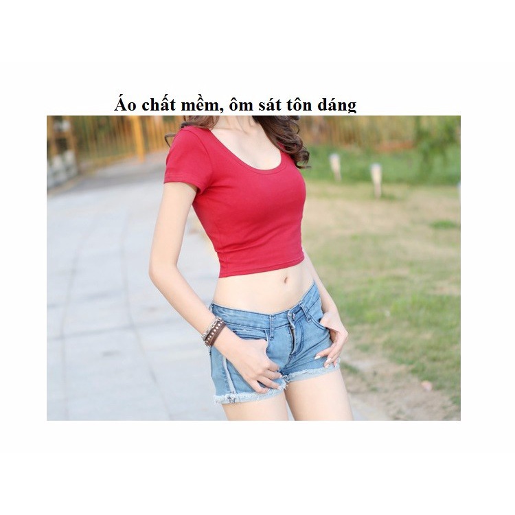 M15204 Áo thun nữ croptop ngắn tay chất cotton mềm mại cao cấp hàng nhập