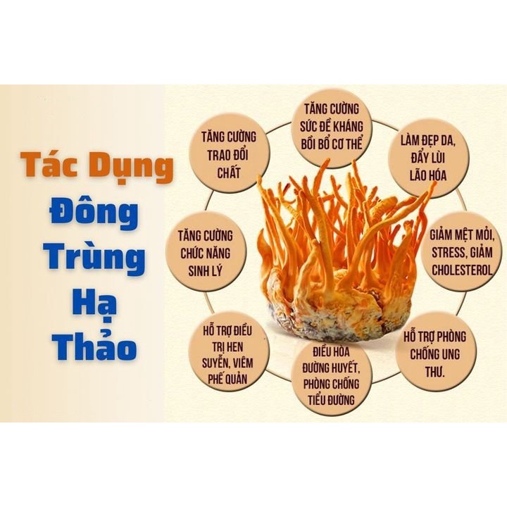 Nước Đông trùng hạ thảo Yến Thiên Ân - 6 lon/lốc  - Hàng Chính Hãng