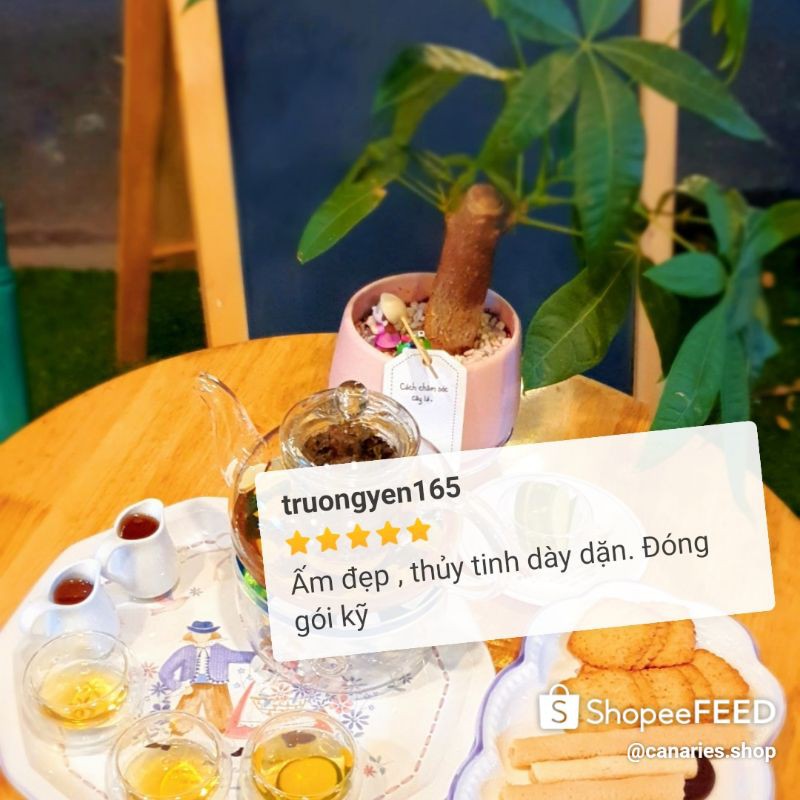 Bộ Ấm Trà Thủy Tinh Tặng Bộ Tách Trà Thuỷ Tinh Cao Cấp 600ml Lõi Lọc bộ trà thuỷ tinh có đế nến | BigBuy360 - bigbuy360.vn