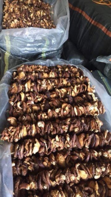 Nấm Hương Rừng