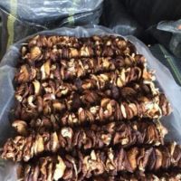 Nấm Hương Rừng