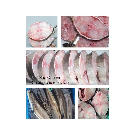 Cá biển, Cá bớp tươi ngon , cấp đông -0.5kg