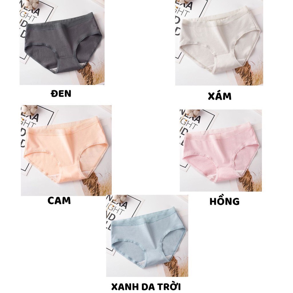 Quần Lót Nữ - Quần Lót Nữ Cotton viền chun kẻ ô thoáng mát kháng khuẩn ôm dáng DAN STORE MÃ QL01