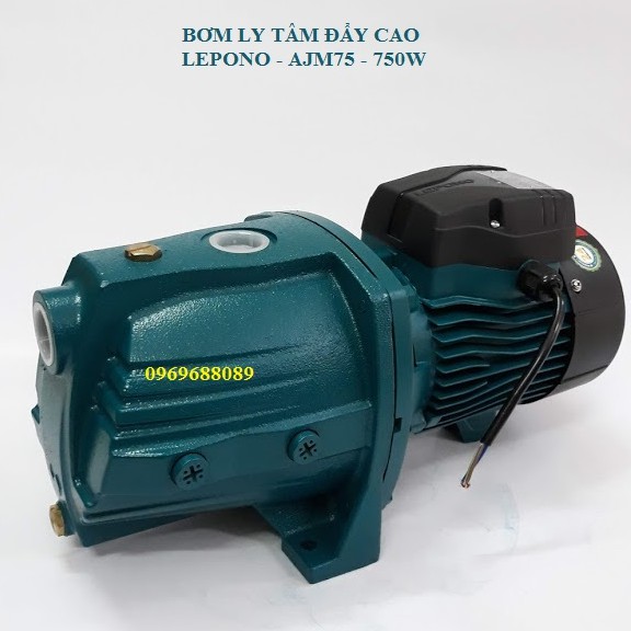 Máy bơm nước con lợn LEPONO AJm 75-750 KW