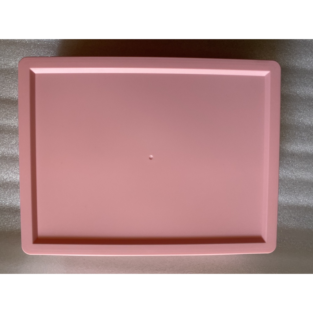 Khay Đựng Đồ Lót 10 Ngăn HomeStar tiện lợi Hando