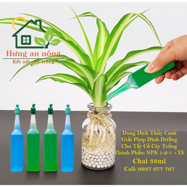 Dung dịch thuỷ canh đậm đặc dùng cho tất cả cây trồng chai 38ml ( 2 màu xanh công dụng như nhau )