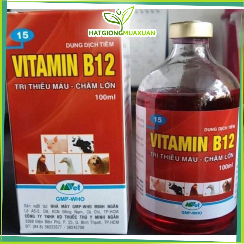[SIEURE] Vitamin B12 (100ml) giúp giải độc chống sốc cho Lan hàng đẹp, phân phối chuyên nghiệp.