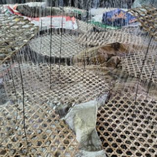 Đường phèn Quảng Ngãi 1ký.