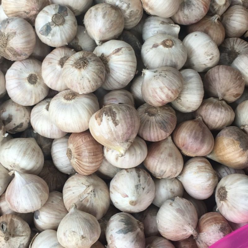 Tỏi cô đơn 1kg size lớn