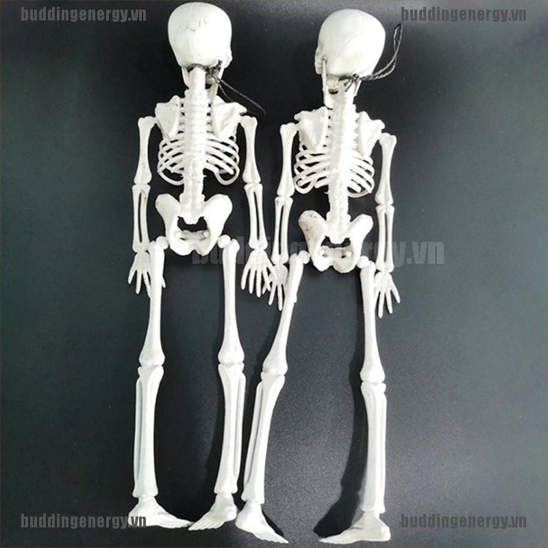 Mô Hình Bộ Xương Người 40cm Dùng Để Trang Trí Tiệc Halloween Tiện Dụng