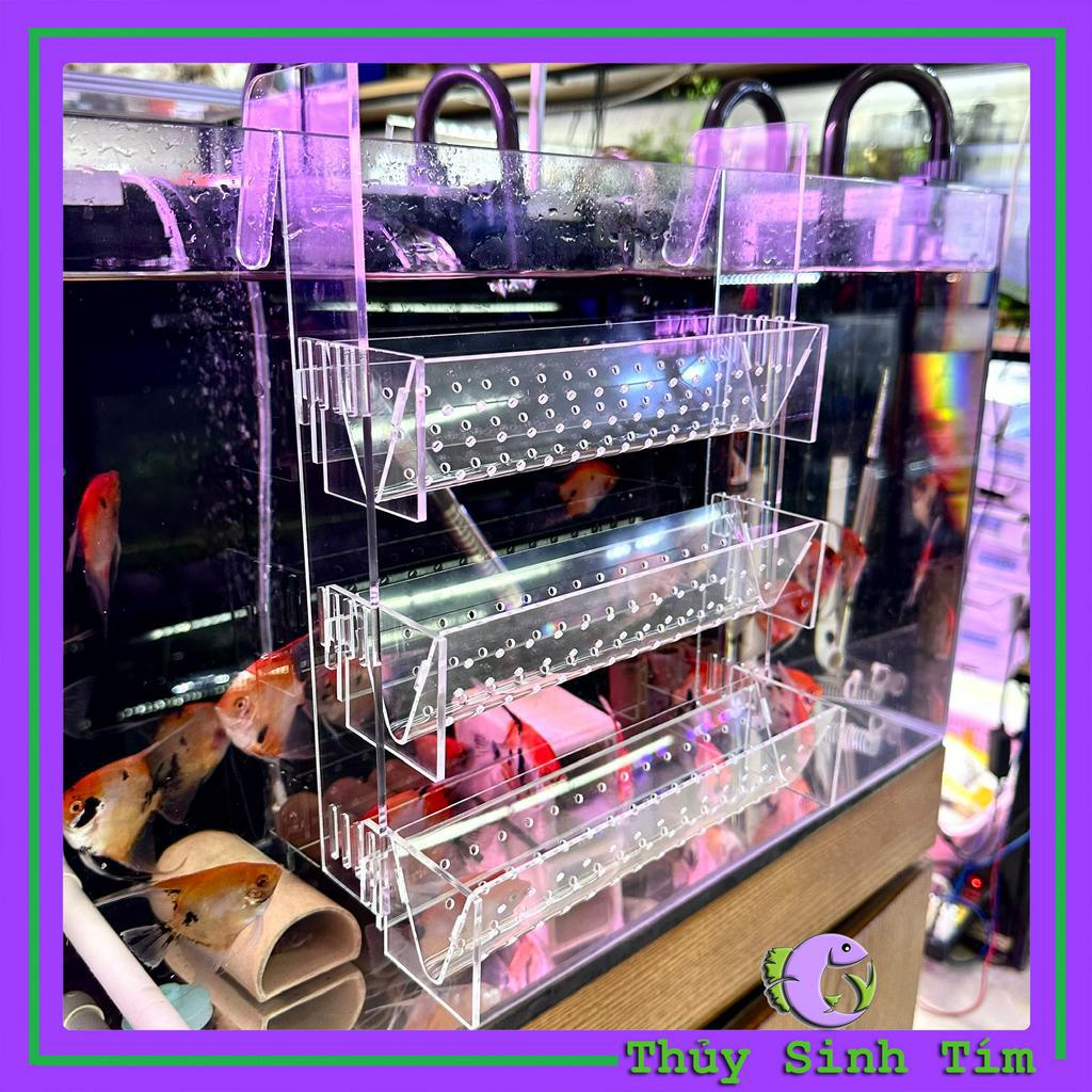 Bộ Khay Trồng Cây Treo Thành Bể NATURE STAND