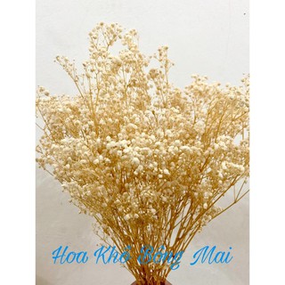 Hoa baby khô HOA BABY BLOOM màu tự nhiên decor trang trí nhà cửa, đạo cụ chụp ảnh phong cách vintage